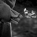 © mmahlstedt | freepik.com | Mittelabschnitt einer Frau, die Blumen hält...