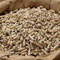 © pongsak14 | freepik.com | Aufnahme von Pellets