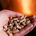 © Reflexpixel | freepik.com | Hand, die Pellets vor dem Glas eines Ofens mit einer schönen Flamme hält