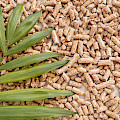 © freepik | freepik.com | Draufsicht auf Pflanzenblätter von Pellets mit Kopierraum